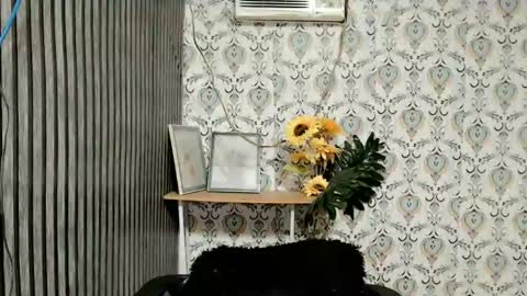 JOY online show from 20, 2, 2025