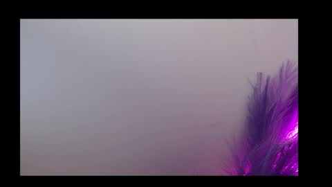 Queen Rosee  online show from 5, 2, 2026