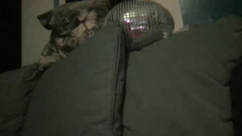 Snapshot of queendelaranch chatting on 20, 9, 2025 Queen De La Ranch online show from 20, 9, 2025