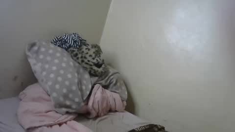 melly online show from 31, 1, 2025