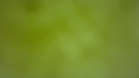 quinnxx online show from 22, 2, 2026