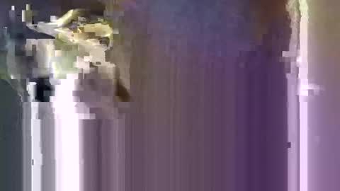 r04233054 online show from 10, 1, 2026