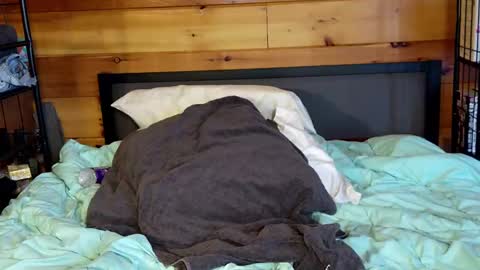 Snapshot of rachelxprice chatting on 2, 3, 2025 Rachel Price online show from 2, 3, 2025