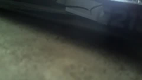 Radeon06french online show from 5, 1, 2025