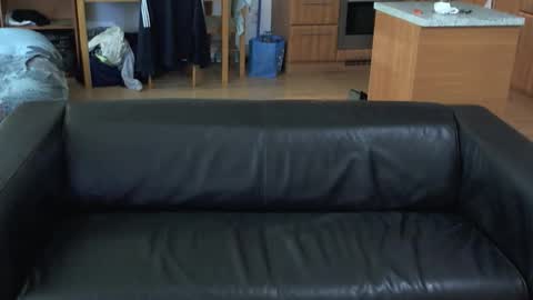 rafaelosteel online show from 1, 11, 2025