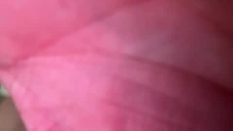 ragerd420 online show from 24, 2, 2026