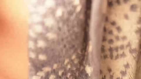 Rami online show from 17, 2, 2025