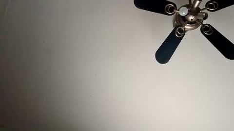 randallcody15 online show from 6, 1, 2025