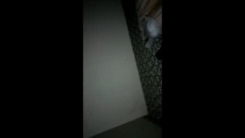 randallcody15 online show from 6, 10, 2025