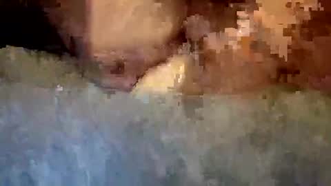 rap0707598343 online show from 28, 3, 2026