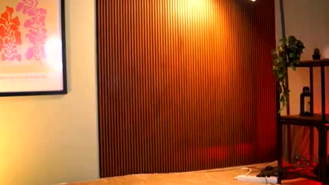 Lav online show from 22, 11, 2025