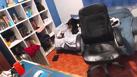 ravingr3d3 online show from 2, 2, 2026