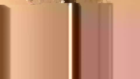 Snapshot of rawdogchewdog chatting on 26, 11, 2025 Mountain Man online show from 26, 11, 2025