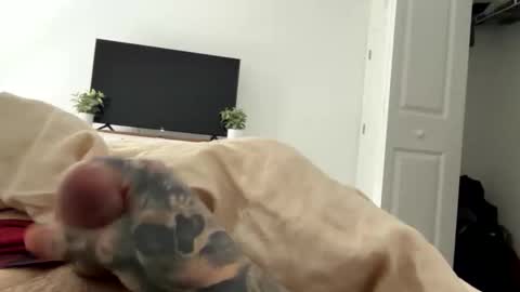 raws33x online show from 3, 2, 2026