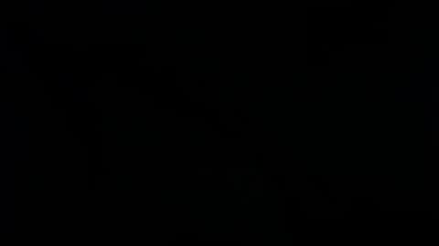 Ray  online show from 25, 1, 2025