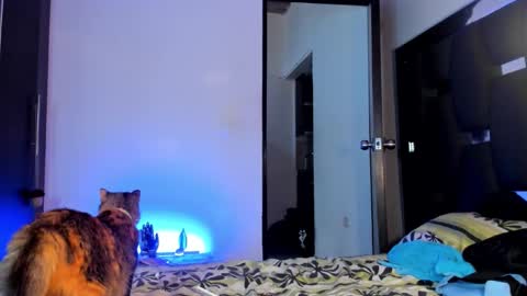 Rayn online show from 28, 9, 2025