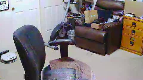 rb69er905364 online show from 28, 3, 2026