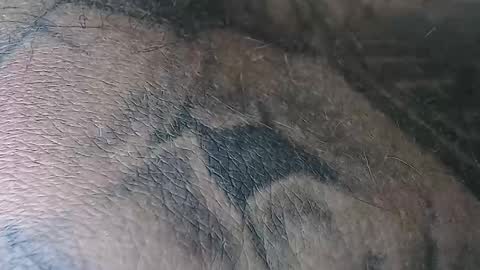 realrubpirate online show from 2, 11, 2025