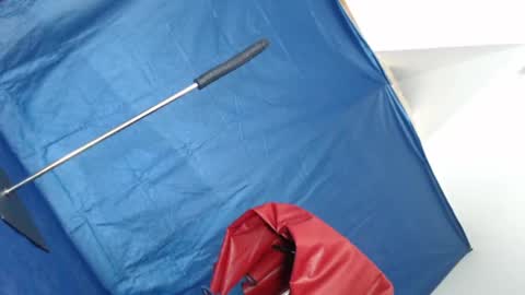 Rebeccalachaude online show from 17, 1, 2025