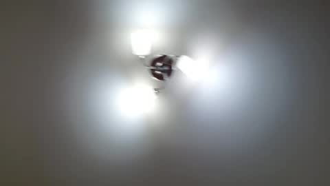 Lisa online show from 12, 2, 2026