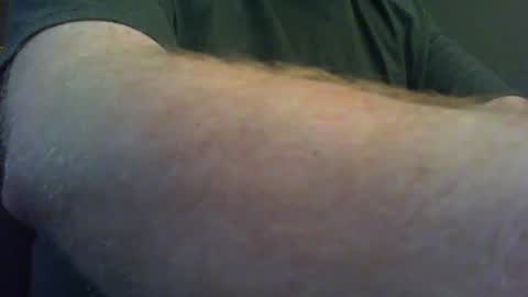 red_sea_bear online show from 10, 3, 2025