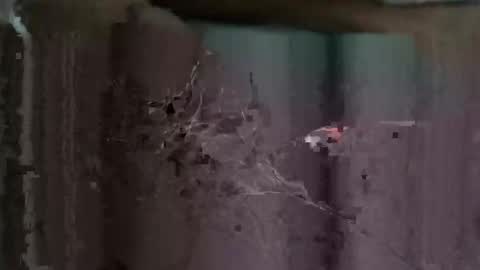 redhotslovesex online show from 26, 10, 2025