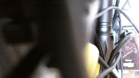 redorchard online show from 17, 2, 2025