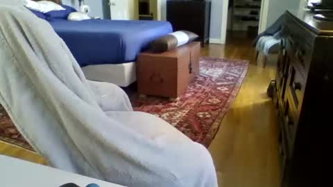 RegularGuyNOLA online show from 24, 1, 2025