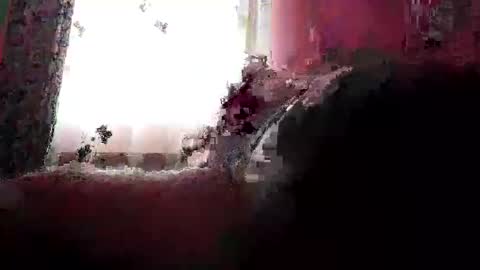 Snapshot of remus60 chatting on 23, 2, 2026 remus60 online show from 23, 2, 2026