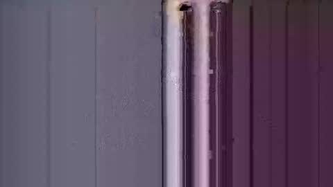 ReneIce online show from 15, 1, 2026