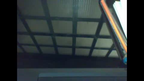 REYALAD online show from 4, 3, 2025