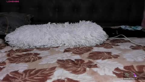 reyna77 online show from 20, 5, 2026