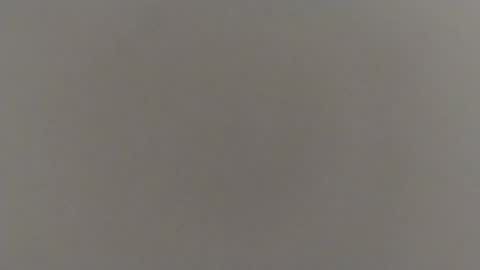 reza240782 online show from 24, 9, 2025