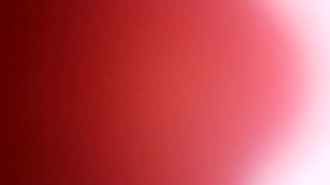 rhino69xx online show from 8, 12, 2024