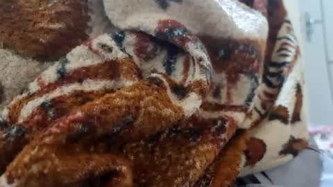 Snapshot of ricard440 chatting on 12, 1, 2025 ricard440 online show from 12, 1, 2025