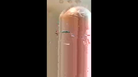 Rickyrocket online show from 26, 3, 2026