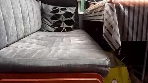 FireLion online show from 13, 4, 2026