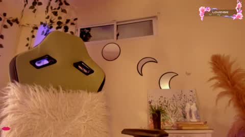 Independent model online show from 17, 12, 2024