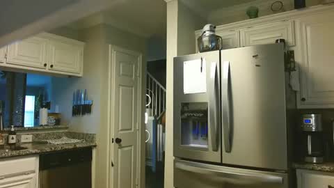 riley depp online show from 14, 2, 2025