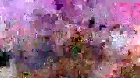 rise4333 online show from 5, 10, 2025