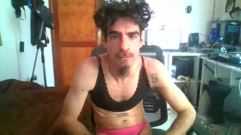 rise4333 online show from 16, 1, 2026