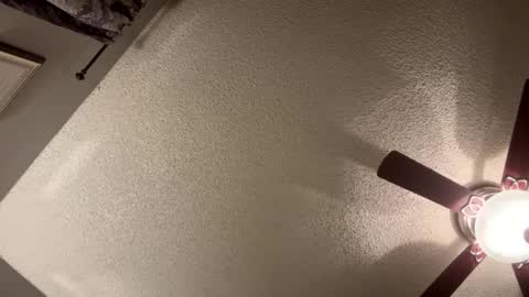 BwC4Breed online show from 21, 1, 2025