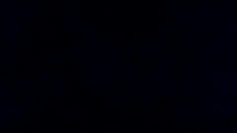 BwC4Breed online show from 22, 1, 2025