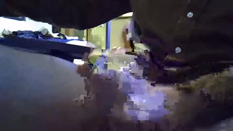 rocco981980 online show from 8, 1, 2025