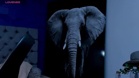 rocco_santos online show from 19, 9, 2025