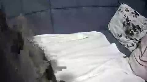 roccosan online show from 4, 10, 2025