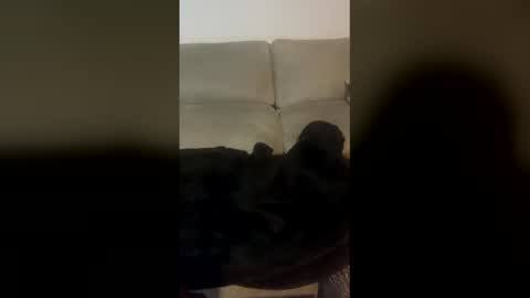 rogerbenid81 online show from 19, 4, 2026