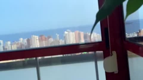 rogerbenid81 online show from 27, 4, 2026