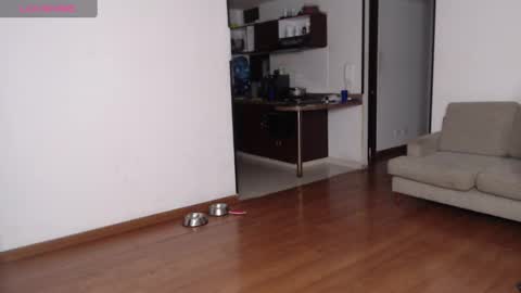 Rogger online show from 21, 2, 2025