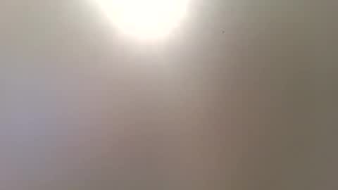 Trinked online show from 16, 12, 2025